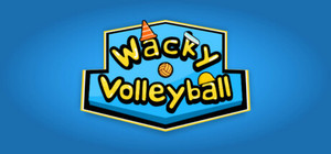 Wacky Volleyball banner