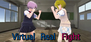 Virtual Real Fight banner