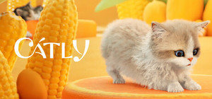 Catly banner