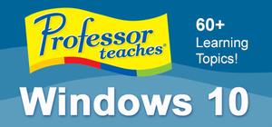 Professor Teaches® banner