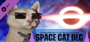 Space Cat banner