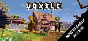 Voxile banner
