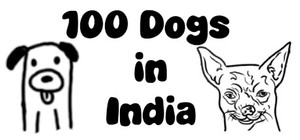100 Dogs in India banner