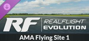 RealFlight Evolution - AMA Flying Site 1 banner