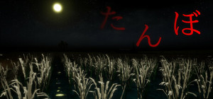 The Paddy Field banner