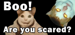 BOO! ARE YOU SCARED? banner