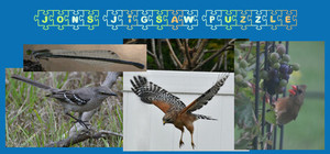 Jon's Jigsaw Puzzle banner