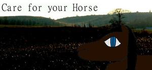 Care for your Horse banner