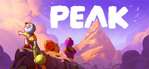 PEAK banner