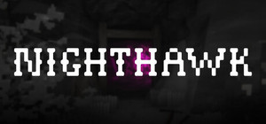 Nighthawk banner