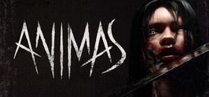 Animas banner