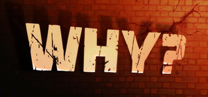 Why? banner