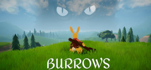Burrows banner