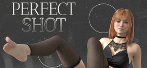 Perfect Shot banner