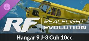 RealFlight Evolution - Hangar 9 J-3 Cub 10cc banner