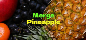 Merge Pineapple banner