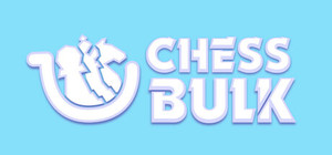 Chess Bulk banner
