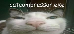 catcompressor.exe banner