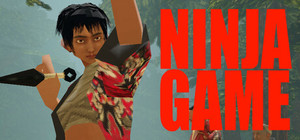 Ninja Game banner