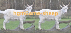 hgmGame-sheep banner