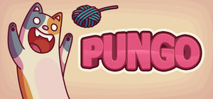 Pungo banner