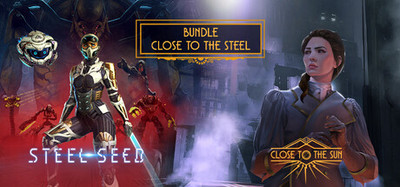 Close to the Steel Bundle