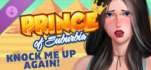 Prince of Suburbia - Knock Me Up Again! banner