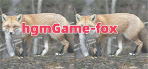 hgmGame-fox banner