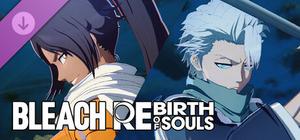 BLEACH Rebirth of Souls - Thousand-Year Blood War Toshiro Hitsugaya & Yoruichi Shihoin Costume Set banner