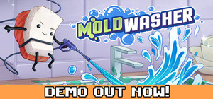 Moldwasher banner