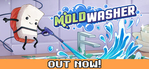 Moldwasher banner
