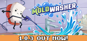 Moldwasher banner