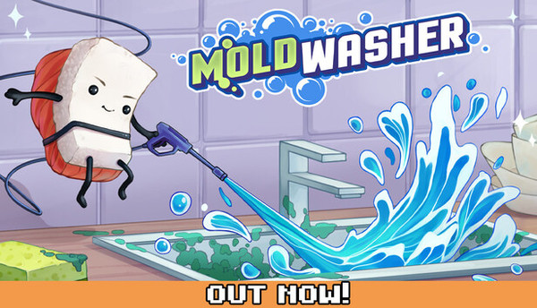 Moldwasher
