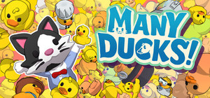 Many Ducks banner