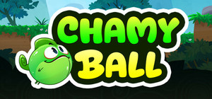 Chamy Ball banner