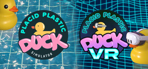 Original PPDS + VR banner