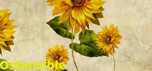 Ostensible banner