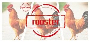 hgmGame-rooster banner