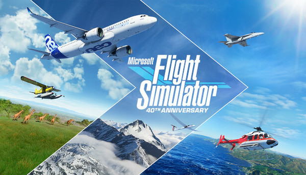 MICROSOFT FLIGHT S
