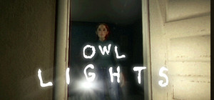 Owl Lights banner