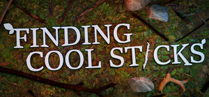 Finding Cool Sticks banner