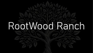 C.A.S.H. - Commerce And Stealthy Heists banner