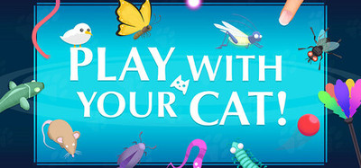 Play With Your Cat!