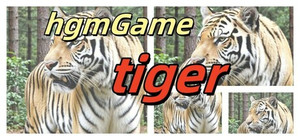 hgmGame-tiger banner