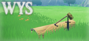 WYS banner