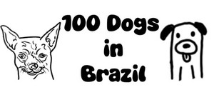 100 Dogs in Brazil banner