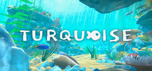 Turquoise banner