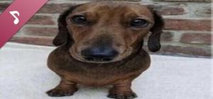 HBDIE: Soundtrack banner