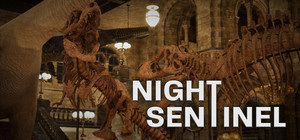 Night Sentinel banner