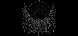 Northern Light banner